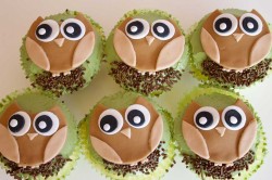 Brown owl cupcakes
