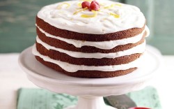 Chocolate cake with vanilla frosting