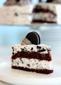 Oreo cake’s slice