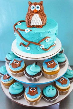 Owl cake with cupcakes