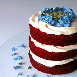 Red velvet cake with cheese cream frosting