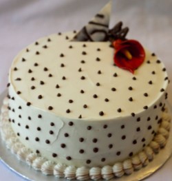 Vanilla cake with chocolate dots