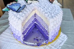 Violet butterfly cake