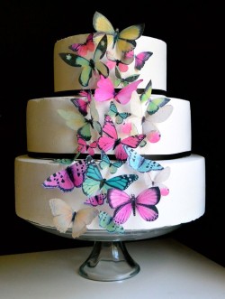 Butterfly wedding cake