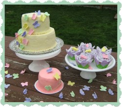 Cute cake with butterflies