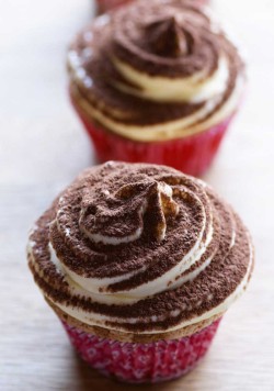 Tasty tiramisu cupcakes