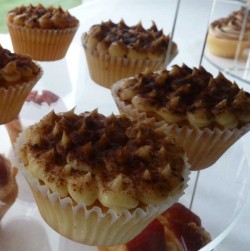 Traditional tiramisu cupcakes