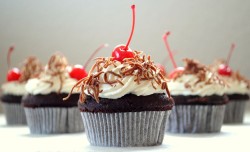 Black Forest cupcake