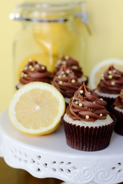 Chocolate and Lemon Cupcake