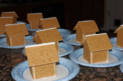 Cookie’s houses