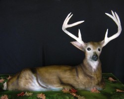 Groom’s cake – deer