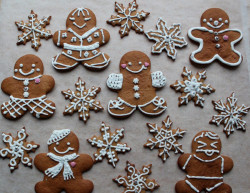 Winter cookies