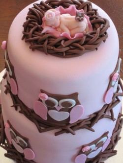 Cute baby shower cake