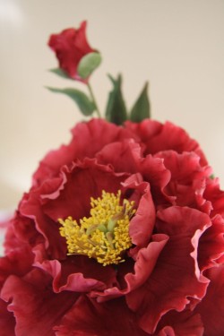 Sugarcraft peony