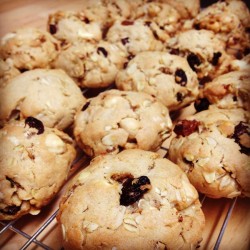 White chocolate rock cookies