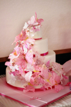 Amazing pink butterflie’s cake