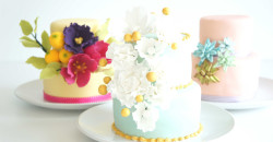 Beautiful mini cakes