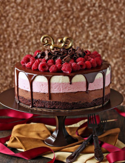 Chocolate Raspberry Mousse Cake