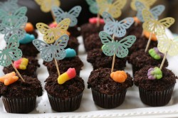 Dirty cupcakes with butterflies