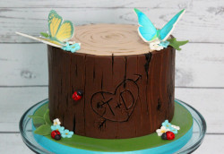 Love cake with butterfly