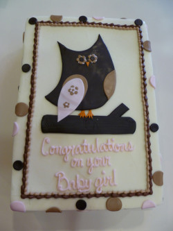 Owl baby shower cake