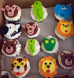 Amazing birthday cupcakes