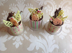Chocolate mini cakes