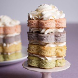 Mini Vanilla Cakes