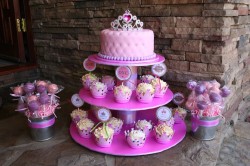 Pink Princess Cake with Cupcakes