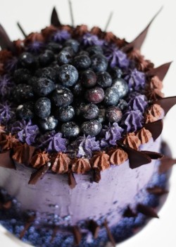 Chocolate Blueberries Cake
