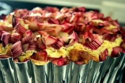 Homemade Rhubarb Cake