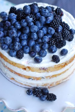 Nude Blueberries Cake