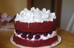 Red velvet with blackberries