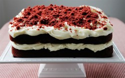 Squere red velvet cake