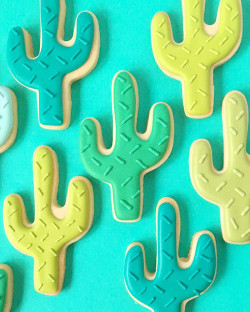 Sugar cookies – cactus