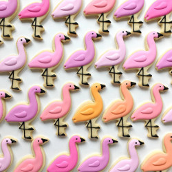 Sugar cookies – flamingos