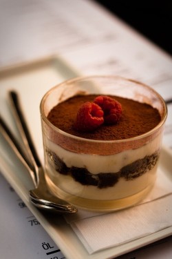 Tiramisu in a Cup