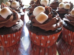 Chocolate Cupcakes