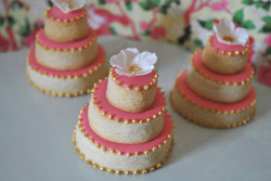 Pink Mini Cakes