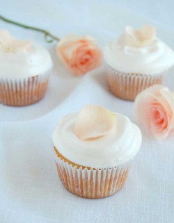 Vanilla Cupcakes