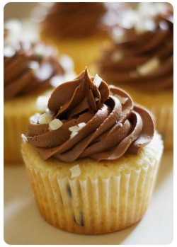 Vanilla Cupcakes with Chocolate