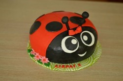 Birthday Cake – Ladybug