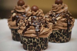 Chocolate Cupcakes