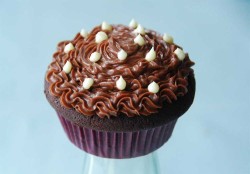 Chocolate Cupcakes Idea