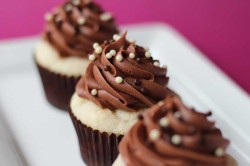 Chocolate and Vanilla Cupcakes