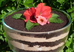 Dirt cake with flower