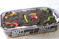 Happy Birthday Dirt Cake