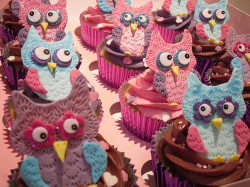 Amazing Owl Cupcakes