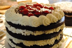 Cake Black Forest