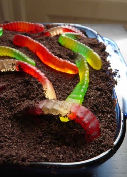 Cake – Compost